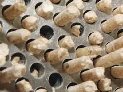 เม็ดไม้